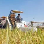 Jateng didoronog swasembada pangan mandiri 2026
