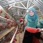 Program ketahanan pangan keluarga