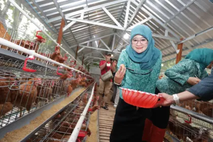 Program ketahanan pangan keluarga