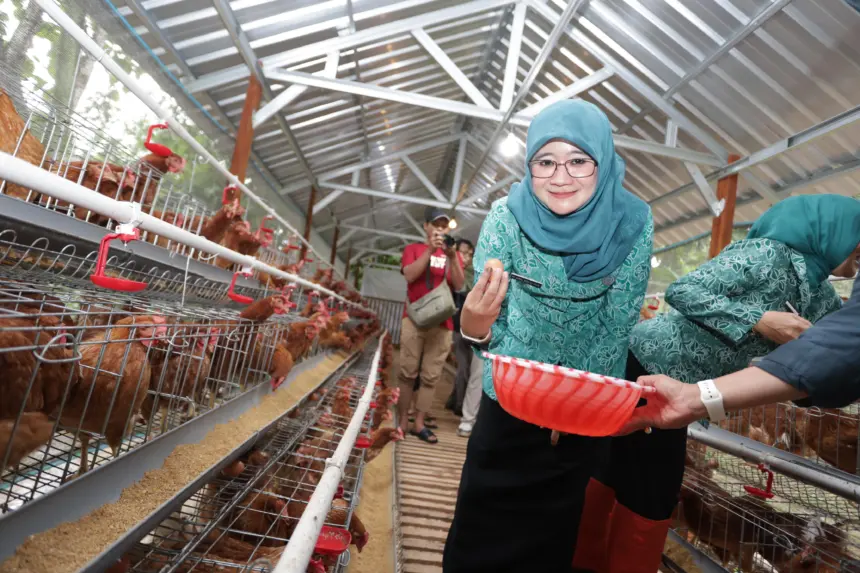 Program ketahanan pangan keluarga