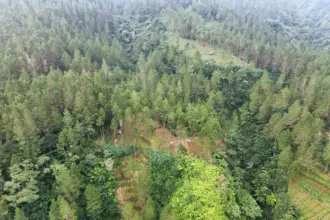 Hutan Jatilawang