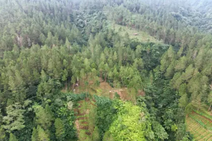 Hutan Jatilawang