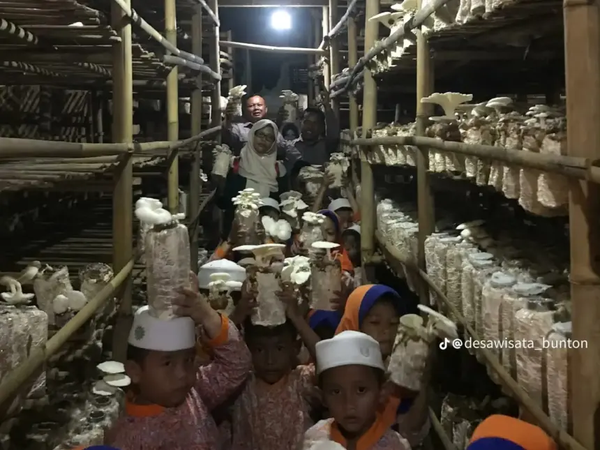 eduwisata jamur tiram
