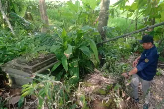 Cagar Budaya