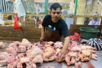 bahan pokok