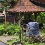 kampoeng kopi sugara