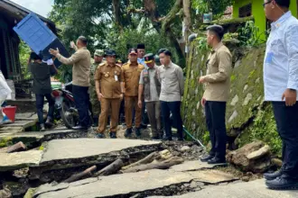 tanah gerak tegal