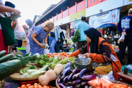 Harga cabai