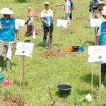 Tanam kopi sebagai konservasi di DAS Serayu untuk selamatkan sedimentasi waduk Mrica