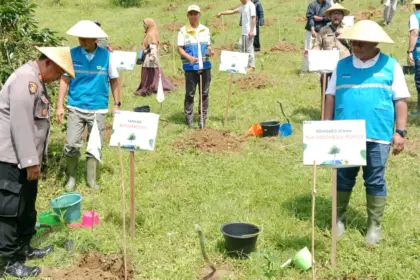 Tanam kopi sebagai konservasi di DAS Serayu untuk selamatkan sedimentasi waduk Mrica