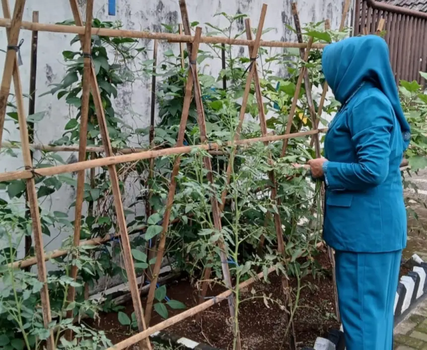 dorong ketahanan pangan dengan menanam di lingkungan rumah