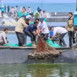 Tambak udang Modern di Kebumen