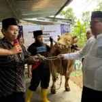 Bantuan hewan kurban Presiden Prabowo