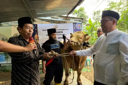 Bantuan hewan kurban Presiden Prabowo