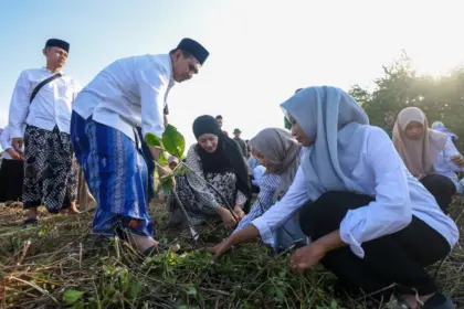Gus Yasin Tanam Mangrove