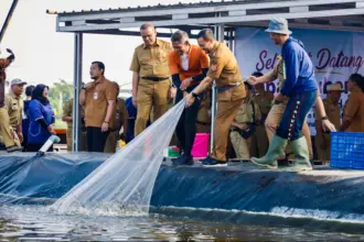 Jateng bakan jadi sentra perikanan dan bibit udang nasional