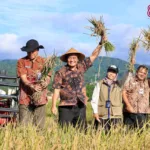 Jateng jadi lumbung pangan nasional