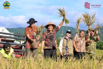 Jateng jadi lumbung pangan nasional