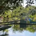 Pesona Situ Tirta Marta di Purbalingga. (Foto: Tangkapan layar Instagram @situtirtamarta)