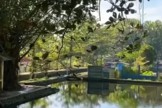Pesona Situ Tirta Marta di Purbalingga. (Foto: Tangkapan layar Instagram @situtirtamarta)