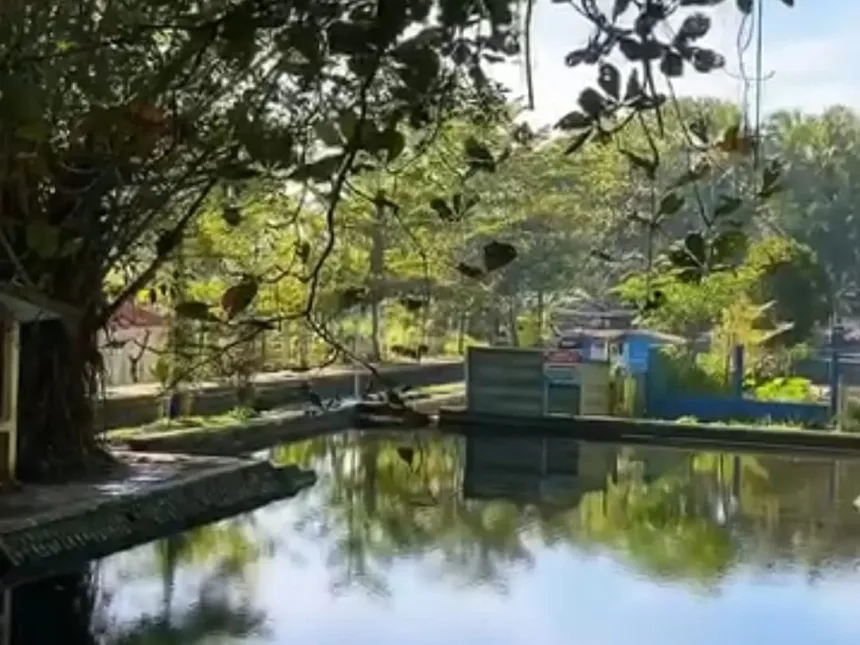 Pesona Situ Tirta Marta di Purbalingga. (Foto: Tangkapan layar Instagram @situtirtamarta)