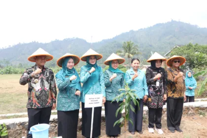 Rabu Pon Digencarkan, 2,4 Juta Kader PKK Jateng Berpotensi Tanam 28,8 Juta Pohon