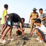 Bangkai ikan dikeluhkan warga Pati