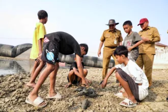 Bangkai ikan dikeluhkan warga Pati