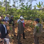 Wisata Dieng Banjarnegara disiapkan berbasis pengalaman melalui GI Tourism. Wisatawan bisa menikmati kopi, carica, purwaceng hingga melihat proses produksi.