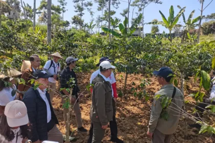 Wisata Dieng Banjarnegara disiapkan berbasis pengalaman melalui GI Tourism. Wisatawan bisa menikmati kopi, carica, purwaceng hingga melihat proses produksi.