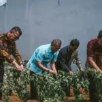 Petugas saat panen cabai di lahan sempit RUtan Banjarnegara
