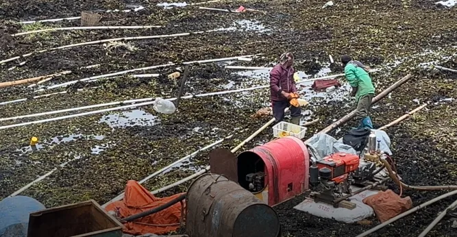 Telaga Merdada menyusut akibat kemarau. Petani kentang Dieng harus membeli solar hingga 15 liter per hari demi menyelamatkan tanaman menjelang panen