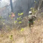 Petugas sedang berusaha memadamkan api di lokasi kebakaran di wilayah Kecamatan Mandiraja