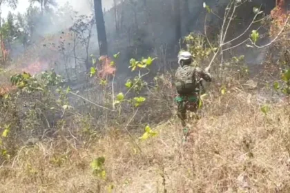 Petugas sedang berusaha memadamkan api di lokasi kebakaran di wilayah Kecamatan Mandiraja