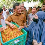 Harga cabai makin pedas