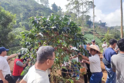 Petani kopi lokal Banjarnegara membudidayakan kopi yang menjadi bagian dari program konservasi dan pemberdayaan masyarakat di Hulu DAS Serayu.