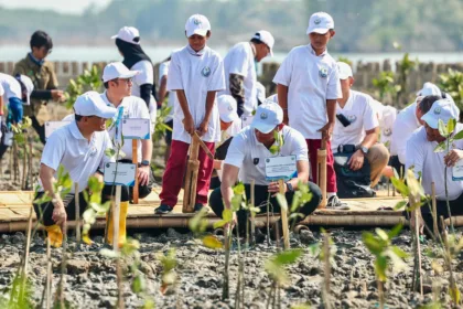 Banjir Rob dan abrasi mengancam warga Timbulsloko, Demak. Penanaman mangrove dan rencana Giant Sea Wall menjadi bagian dari upaya perlindungan Pantura Jawa.