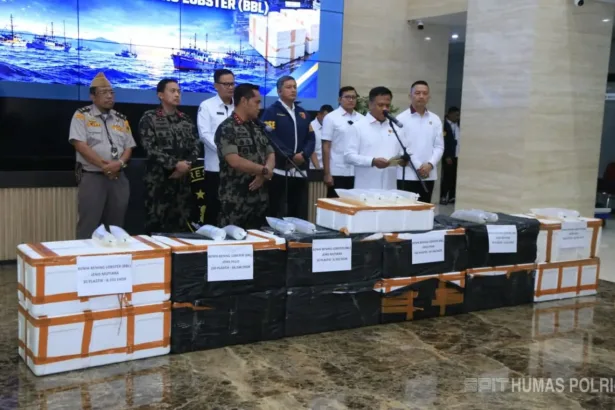 Bareskrim Polri berhasil menggagalkan penyelundupan 12 boks Benih Bening Lobster (BBL) senilai Rp5,8 miliar asal Pangandaran, Jawa Barat.(Foto: mediahub.polri.go.id)